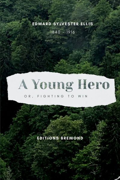 A Young Hero — Edward S. Ellis